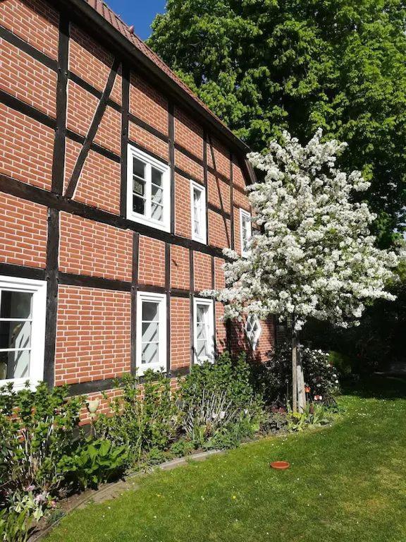 Apartment In Ruhiger Wohnlage Sie Sind In 3 Minuten Am Trebbower See Oder In 30 Minuten An Der Ostsee Klein Trebbow Eksteriør bilde